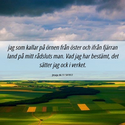 Picture 06 - Jesaja 46:11 SV1917 - jag som kallar på örnen från öster och ifrån - Bible Verse Picture