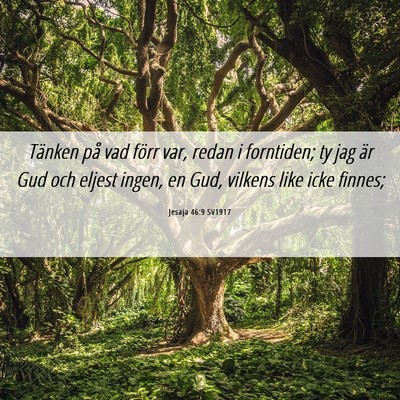 Picture 06 - Jesaja 46:9 SV1917 - Tänken på vad förr var, redan i forntiden; ty - Bible Verse Picture