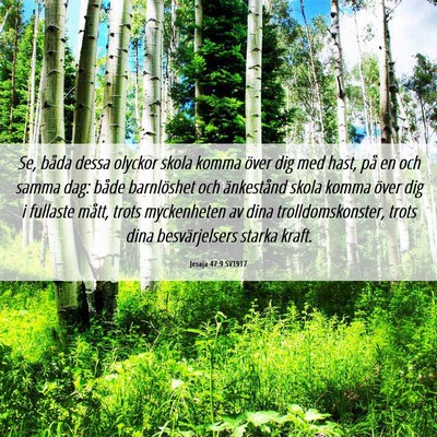 Picture 06 - Jesaja 47:9 SV1917 - Se, båda dessa olyckor skola komma över dig med - Bible Verse Picture