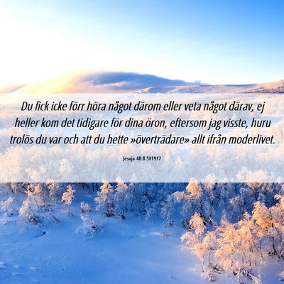 Picture 06 - Jesaja 48:8 SV1917 - Du fick icke förr höra något därom eller veta - Bible Verse Picture