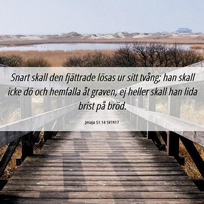 Picture 06 - Jesaja 51:14 SV1917 - Snart skall den fjättrade lösas ur sitt tvång; - Bible Verse Picture