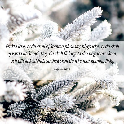 Picture 06 - Jesaja 54:4 SV1917 - Frukta icke, ty du skall ej komma på skam; blygs - Bible Verse Picture