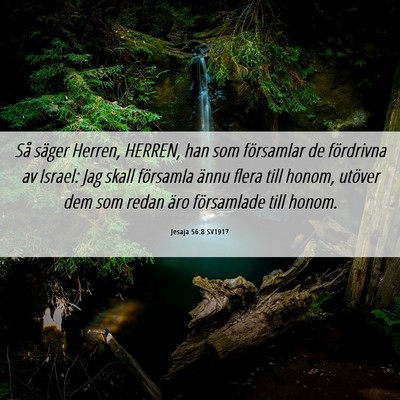 Picture 06 - Jesaja 56:8 SV1917 - Så säger Herren, HERREN, han som församlar de - Bible Verse Picture
