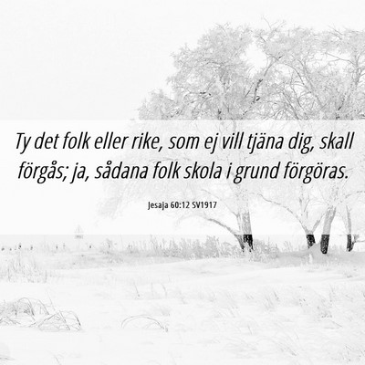 Picture 06 - Jesaja 60:12 SV1917 - Ty det folk eller rike, som ej vill tjäna dig, - Bible Verse Picture