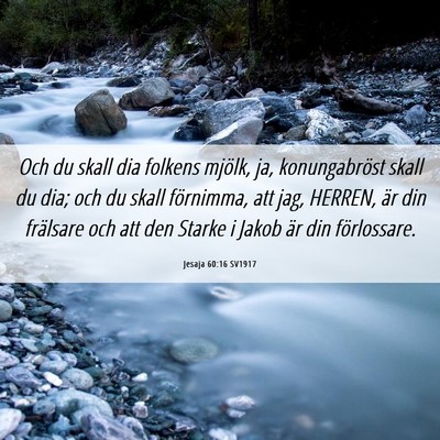 Picture 06 - Jesaja 60:16 SV1917 - Och du skall dia folkens mjölk, ja, - Bible Verse Picture