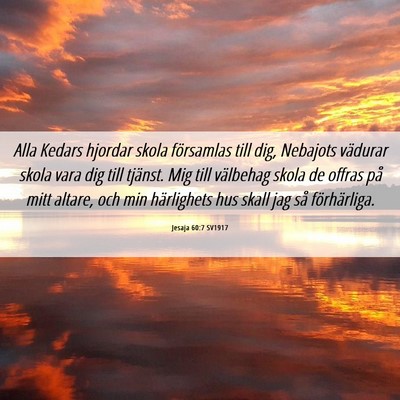 Picture 06 - Jesaja 60:7 SV1917 - Alla Kedars hjordar skola församlas till dig, - Bible Verse Picture