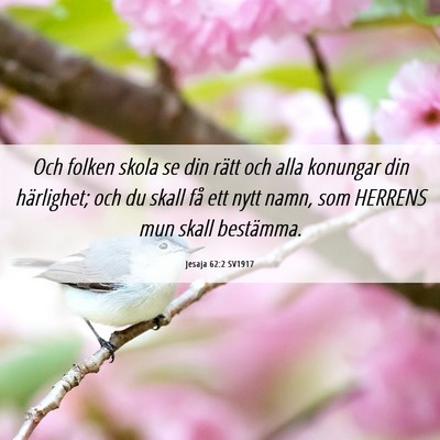 Picture 06 - Jesaja 62:2 SV1917 - Och folken skola se din rätt och alla konungar - Bible Verse Picture
