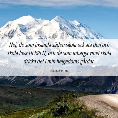Picture 06 - Jesaja 62:9 SV1917 - Nej, de som insamla säden skola ock äta den och - Bible Verse Picture