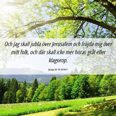 Picture 06 - Jesaja 65:19 SV1917 - Och jag skall jubla över Jerusalem och fröjda - Bible Verse Picture