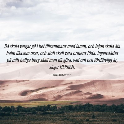 Picture 06 - Jesaja 65:25 SV1917 - Då skola vargar gå i bet tillsammans med lamm, - Bible Verse Picture