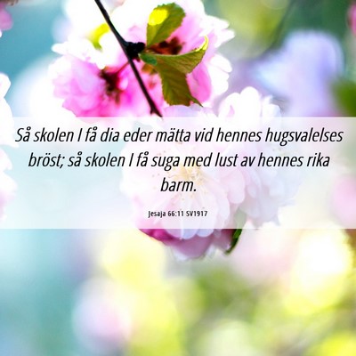 Picture 06 - Jesaja 66:11 SV1917 - Så skolen I få dia eder mätta vid hennes - Bible Verse Picture