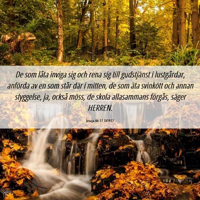 Picture 06 - Jesaja 66:17 SV1917 - De som låta inviga sig och rena sig till - Bible Verse Picture