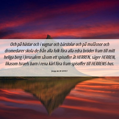 Picture 06 - Jesaja 66:20 SV1917 - Och på hästar och i vagnar och bärstolar och - Bible Verse Picture