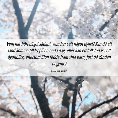 Picture 06 - Jesaja 66:8 SV1917 - Vem har hört något sådant, vem har sett något - Bible Verse Picture