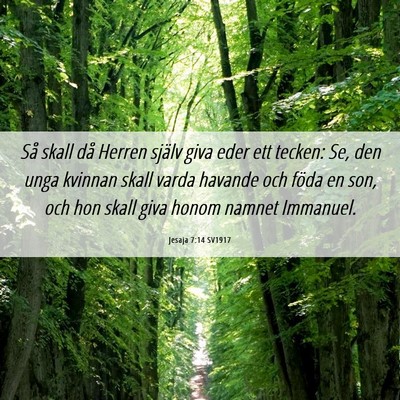Picture 06 - Jesaja 7:14 SV1917 - Så skall då Herren själv giva eder ett tecken: - Bible Verse Picture