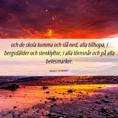 Picture 06 - Jesaja 7:19 SV1917 - och de skola komma och slå ned, alla tillhopa, i - Bible Verse Picture