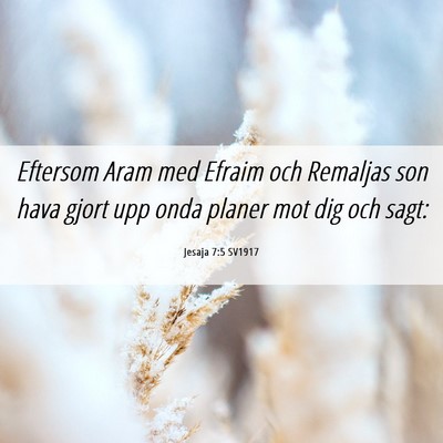 Picture 06 - Jesaja 7:5 SV1917 - Eftersom Aram med Efraim och Remaljas son hava - Bible Verse Picture