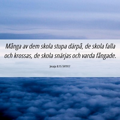 Picture 06 - Jesaja 8:15 SV1917 - Många av dem skola stupa därpå, de skola falla - Bible Verse Picture
