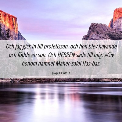 Picture 06 - Jesaja 8:3 SV1917 - Och jag gick in till profetissan, och hon blev - Bible Verse Picture