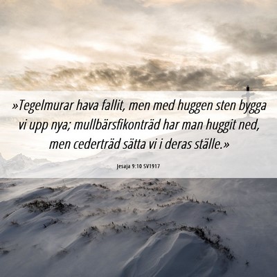 Picture 06 - Jesaja 9:10 SV1917 - »Tegelmurar hava fallit, men med huggen sten - Bible Verse Picture