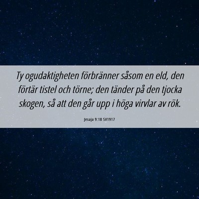 Picture 06 - Jesaja 9:18 SV1917 - Ty ogudaktigheten förbränner såsom en eld, den - Bible Verse Picture