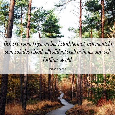 Picture 06 - Jesaja 9:5 SV1917 - Och skon som krigaren bar i stridslarmet, och - Bible Verse Picture