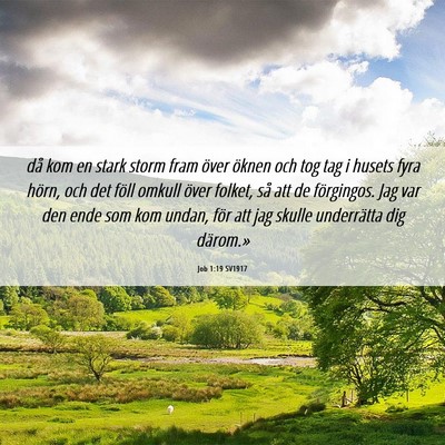 Picture 06 - Job 1:19 SV1917 - då kom en stark storm fram över öknen och tog - Bible Verse Picture