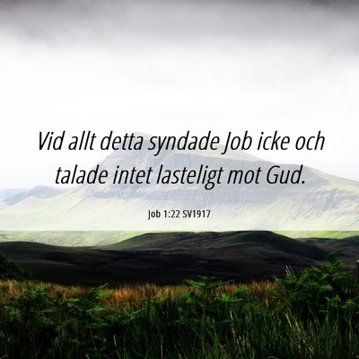 Picture 06 - Job 1:22 SV1917 - Vid allt detta syndade Job icke och talade intet - Bible Verse Picture