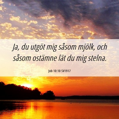 Picture 06 - Job 10:10 SV1917 - Ja, du utgöt mig såsom mjölk, och såsom - Bible Verse Picture