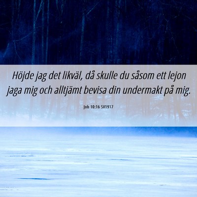 Picture 06 - Job 10:16 SV1917 - Höjde jag det likväl, då skulle du såsom ett - Bible Verse Picture