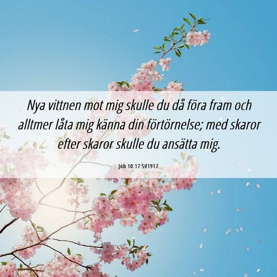 Picture 06 - Job 10:17 SV1917 - Nya vittnen mot mig skulle du då föra fram och - Bible Verse Picture