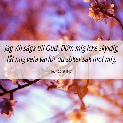 Picture 06 - Job 10:2 SV1917 - Jag vill säga till Gud: Döm mig icke skyldig; - Bible Verse Picture