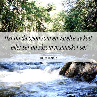 Picture 06 - Job 10:4 SV1917 - Har du då ögon som en varelse av kött, eller - Bible Verse Picture