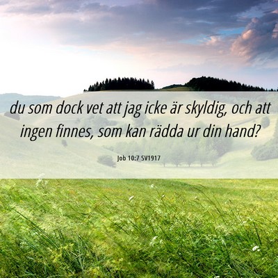 Picture 06 - Job 10:7 SV1917 - du som dock vet att jag icke är skyldig, och att - Bible Verse Picture