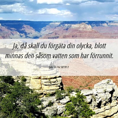 Picture 06 - Job 11:16 SV1917 - Ja, då skall du förgäta din olycka, blott - Bible Verse Picture
