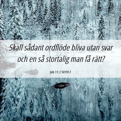 Picture 06 - Job 11:2 SV1917 - Skall sådant ordflöde bliva utan svar och en - Bible Verse Picture