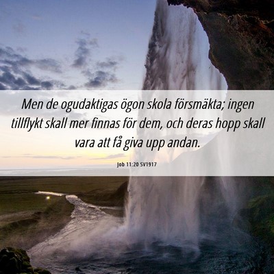 Picture 06 - Job 11:20 SV1917 - Men de ogudaktigas ögon skola försmäkta; ingen - Bible Verse Picture