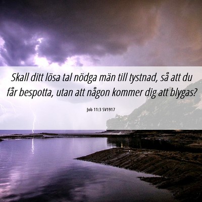 Picture 06 - Job 11:3 SV1917 - Skall ditt lösa tal nödga män till tystnad, - Bible Verse Picture