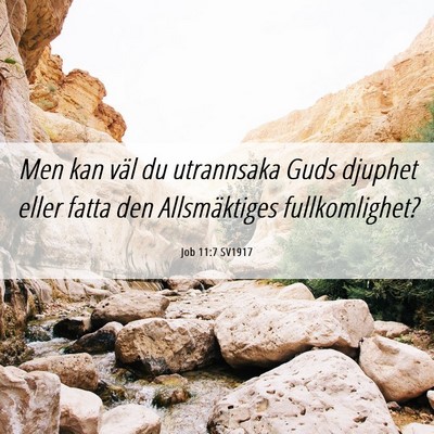 Picture 06 - Job 11:7 SV1917 - Men kan väl du utrannsaka Guds djuphet eller - Bible Verse Picture
