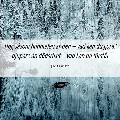Picture 06 - Job 11:8 SV1917 - Hög såsom himmelen är den -- vad kan du göra? - Bible Verse Picture