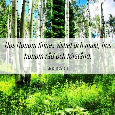 Picture 06 - Job 12:13 SV1917 - Hos Honom finnes vishet och makt, hos honom råd - Bible Verse Picture