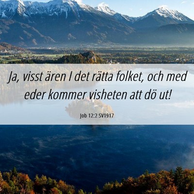 Picture 06 - Job 12:2 SV1917 - Ja, visst ären I det rätta folket, och med eder - Bible Verse Picture
