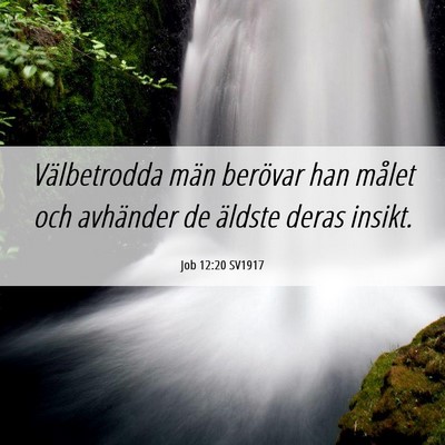 Picture 06 - Job 12:20 SV1917 - Välbetrodda män berövar han målet och - Bible Verse Picture