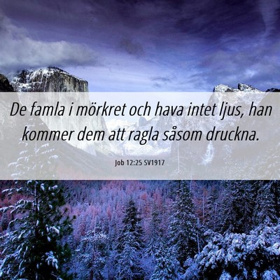 Picture 06 - Job 12:25 SV1917 - De famla i mörkret och hava intet ljus, han - Bible Verse Picture