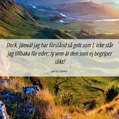Picture 06 - Job 12:3 SV1917 - Dock, jämväl jag har förstånd så gott som I, - Bible Verse Picture