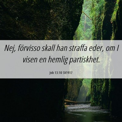 Picture 06 - Job 13:10 SV1917 - Nej, förvisso skall han straffa eder, om I visen - Bible Verse Picture