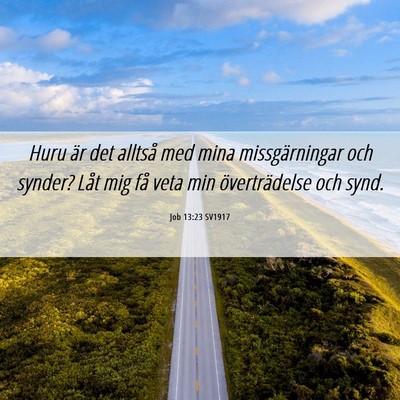 Picture 06 - Job 13:23 SV1917 - Huru är det alltså med mina missgärningar och - Bible Verse Picture
