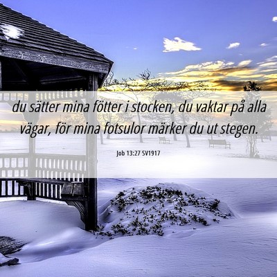 Picture 06 - Job 13:27 SV1917 - du sätter mina fötter i stocken, du vaktar på - Bible Verse Picture