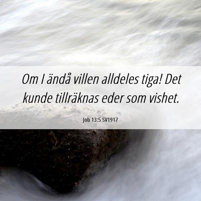 Picture 06 - Job 13:5 SV1917 - Om I ändå villen alldeles tiga! Det kunde - Bible Verse Picture