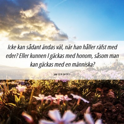 Picture 06 - Job 13:9 SV1917 - Icke kan sådant ändas väl, när han håller - Bible Verse Picture